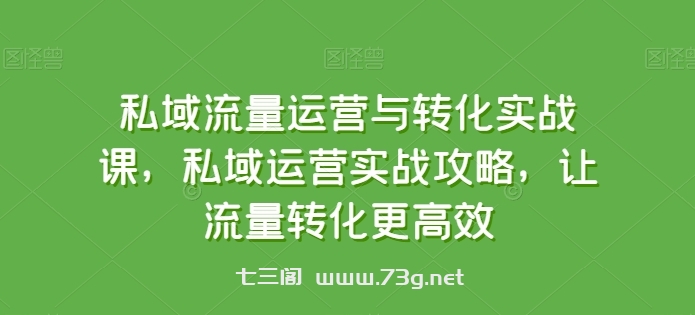 私域流量运营与转化实战课，私域运营实战攻略，让流量转化更高效-七三阁