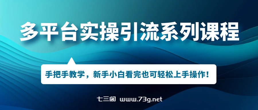 多平台实操引流系列课程，手把手教学，新手小白看完也可轻松上手引流操作！-七三阁