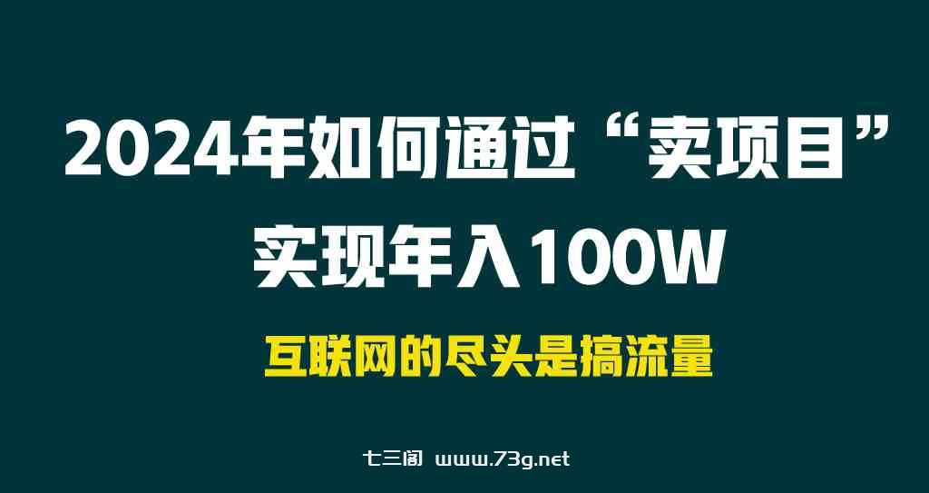 （9147期） 2024年如何通过“卖项目”实现年入100W-七三阁