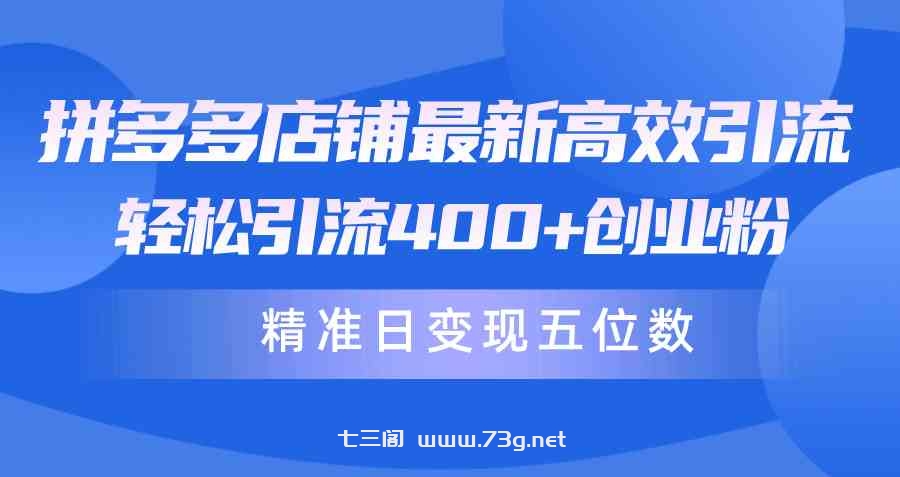 （10041期）拼多多店铺最新高效引流术，轻松引流400+创业粉，精准日变现五位数！-七三阁