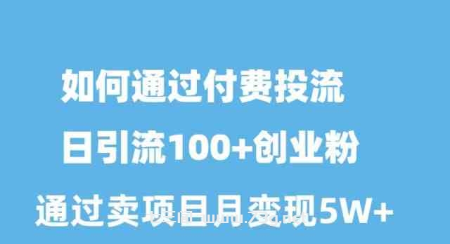 （10189期）如何通过付费投流日引流100+创业粉月变现5W+-七三阁