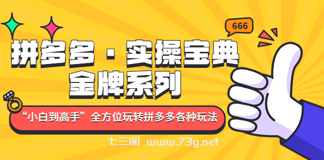 拼多多·实操宝典：金牌系列“小白到高手”带你全方位玩转拼多多各种玩法-七三阁