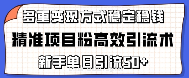 精准项目粉高效引流术，新手单日引流50+，多重变现方式稳定赚钱-七三阁