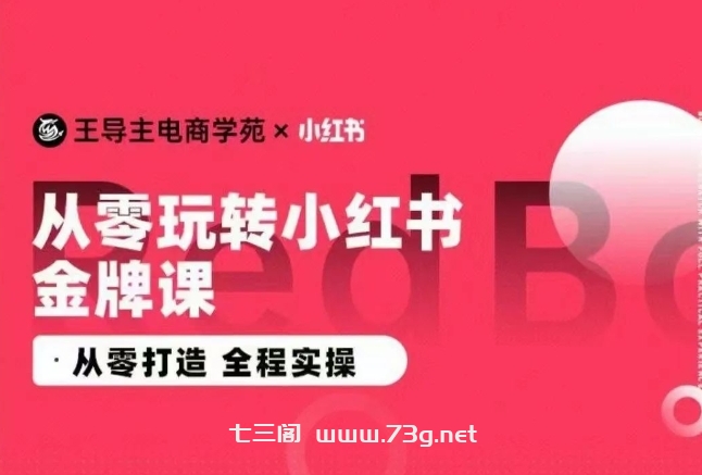 王导主·小红书电商运营实操课，​从零打造  全程实操-七三阁