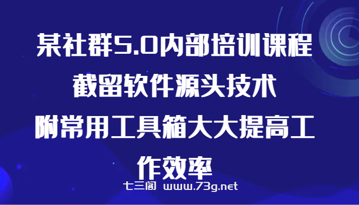 某社群5.0内部培训课程，截留软件源头技术，附常用工具箱大大提高工作效率-七三阁