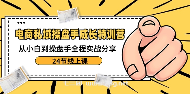 电商私域-操盘手成长特训营：从小白到操盘手全程实战分享-24节线上课-七三阁