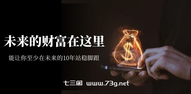 某收费文章《未来的财富在这里》能让你至少在未来的10年站稳脚跟-七三阁