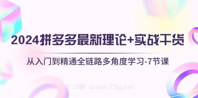 （10816期）2024拼多多 最新理论+实战干货，从入门到精通全链路多角度学习-7节课-七三阁