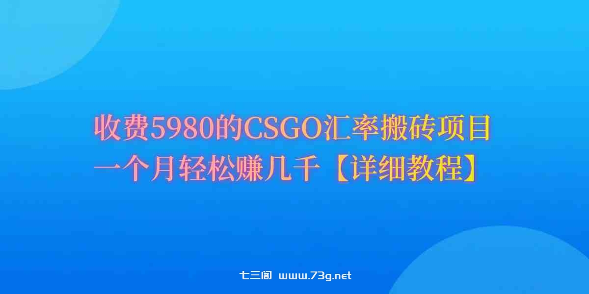 （9776期）CSGO装备搬砖，月综合收益率高达60%，你也可以！-七三阁