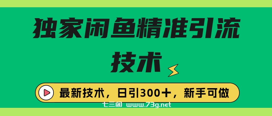 独家闲鱼引流技术，日引300＋实战玩法-七三阁