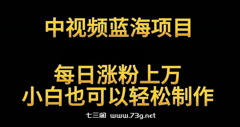 中视频蓝海项目，解读英雄人物生平，每日涨粉上万，小白也可以轻松制作，月入过万不是梦-七三阁