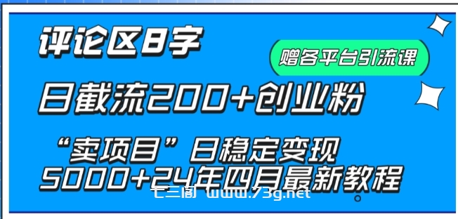 抖音评论区8字日截流200+创业粉 “卖项目”日稳定变现5000+-七三阁