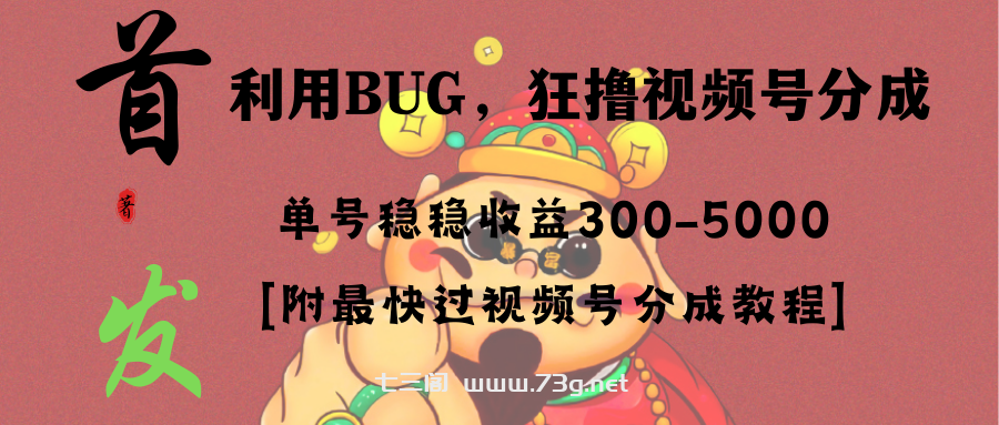 全网独家首发，视频号BUG，超短期项目，单号每日净收益300-5000！-七三阁