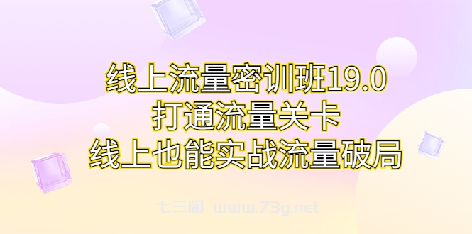 线上流量密训班19.0，打通流量关卡，线上也能实战流量破局-七三阁