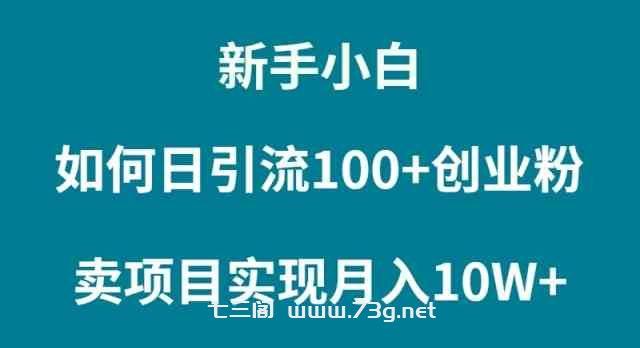 （9556期）新手小白如何通过卖项目实现月入10W+-七三阁