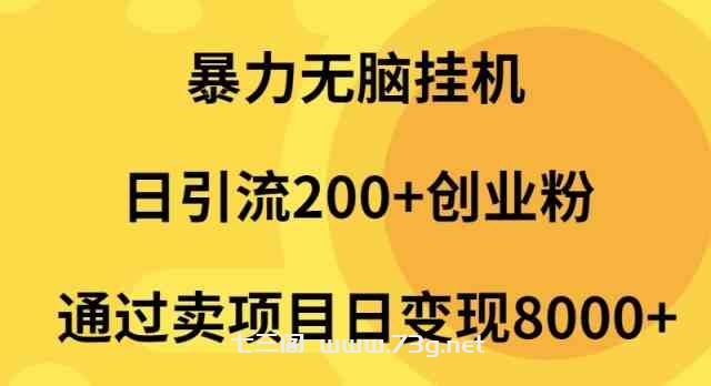 （9788期）暴力无脑挂机日引流200+创业粉通过卖项目日变现2000+-七三阁