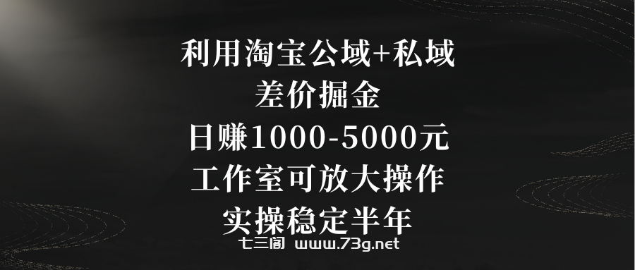 利用淘宝公域+私域差价掘金，日赚1000-5000元，工作室可放大操作，实操…-七三阁