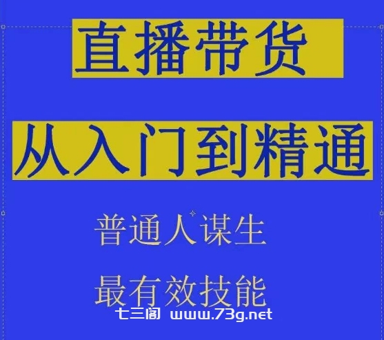 2024抖音直播带货直播间拆解抖运营从入门到精通，普通人谋生最有效技能-七三阁