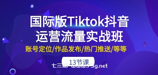 国际版Tiktok抖音运营流量实战班：账号定位/作品发布/热门推送/等等-13节-七三阁