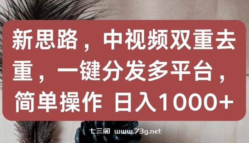 新思路，中视频双重去重，一键分发多平台，简单操作，日入1000+-七三阁