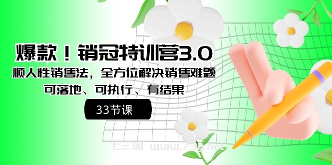 爆款！销冠特训营3.0之顺人性销售法，全方位解决销售难题、可落地-七三阁