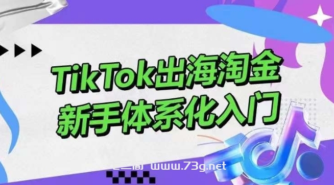 TikTok出海淘金，新手体系化入门，零基础快速入门，掌握短视频、直播带货等引流到变现的知识-七三阁