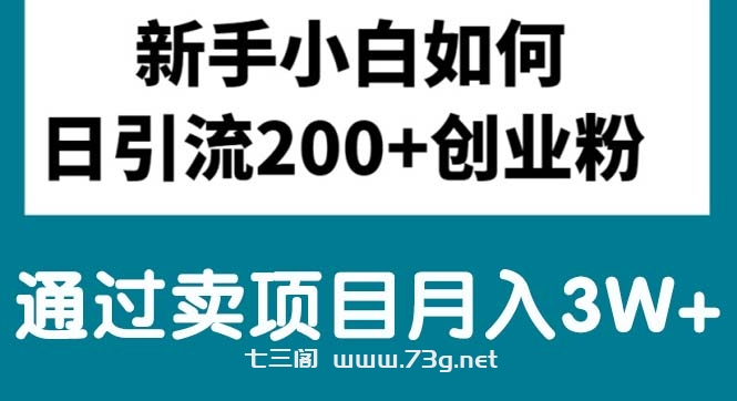 （10843期）新手小白日引流200+创业粉,通过卖项目月入3W+-七三阁