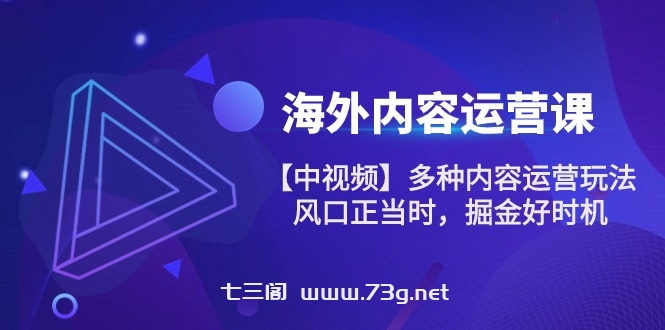 （10833期）海外内容 运营课【中视频】多种内容运营玩法 风口正当时 掘金好时机-101节-七三阁