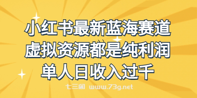 外面收费1980的小红书最新蓝海赛道，虚拟资源都是纯利润，单人日收入过千-七三阁