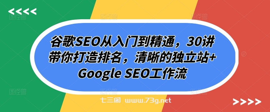 谷歌SEO从入门到精通，30讲带你打造排名，清晰的独立站+Google SEO工作流-七三阁