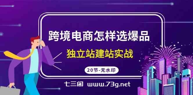 （9369期）跨境电商怎样选爆品，独立站建站实战（20节高清无水印课）-七三阁