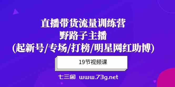 （10016期）直播带货流量特训营，野路子主播(起新号/专场/打榜/明星网红助博)19节课-七三阁