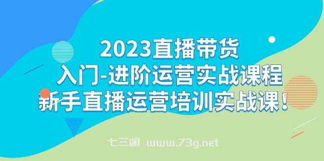 2023直播带货入门-进阶运营实战课程：新手直播运营培训实战课！-七三阁