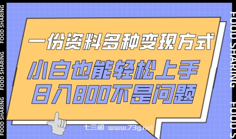 一份资料多种变现方式，小白也能轻松上手，日入800不是问题-七三阁