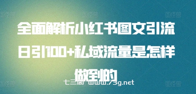 全面解析小红书图文引流日引100+私域流量是怎样做到的-七三阁