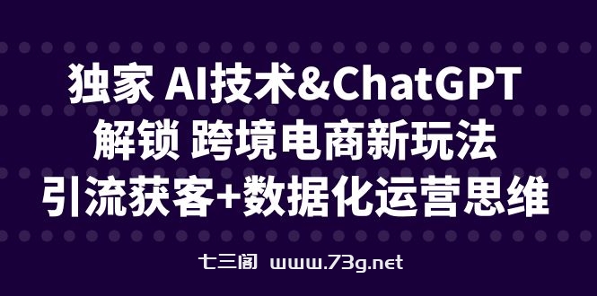 独家 AI技术&ChatGPT解锁 跨境电商新玩法，引流获客+数据化运营思维-七三阁