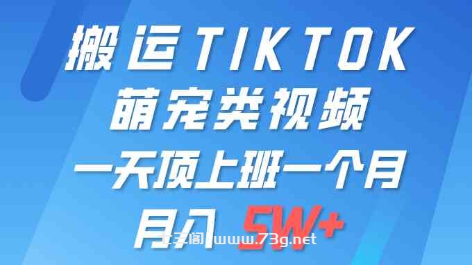 （9931期）一键搬运TIKTOK萌宠类视频 一部手机即可操作 所有平台均可发布 轻松月入5W+-七三阁