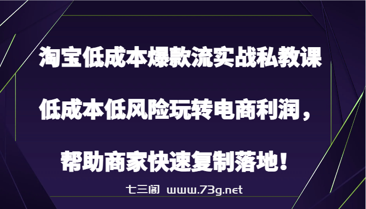 淘宝低成本爆款流实战私教课，低成本低风险玩转电商利润，帮助商家快速复制落地！-七三阁