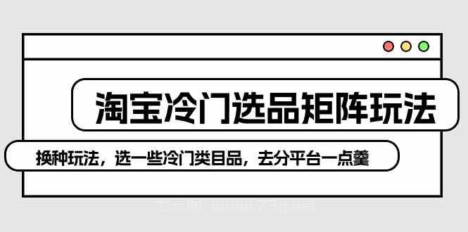 （10159期）淘宝冷门选品矩阵玩法：换种玩法，选一些冷门类目品，去分平台一点羹-七三阁