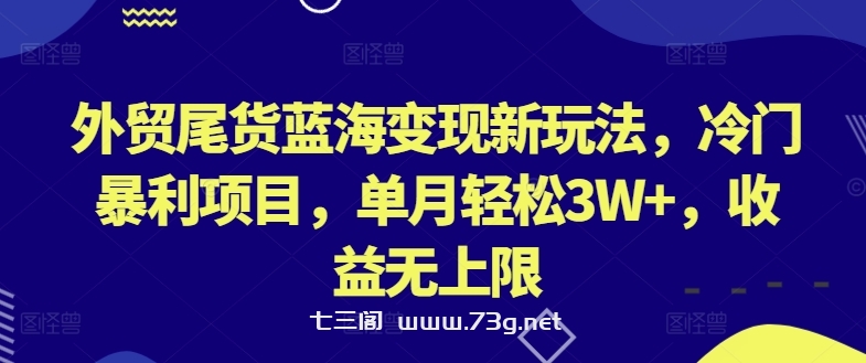 外贸尾货蓝海变现新玩法，冷门暴利项目，单月轻松3W+，收益无上限-七三阁