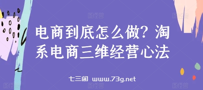 电商到底怎么做？淘系电商三维经营心法-七三阁