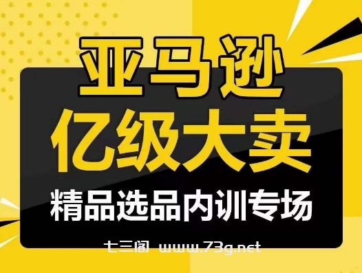 亚马逊亿级大卖-精品选品内训专场，亿级卖家分享选品成功之道-七三阁