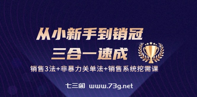 从小新手到销冠三合一速成：销售3法+非暴力关单法+销售系统挖需课 (27节)-七三阁