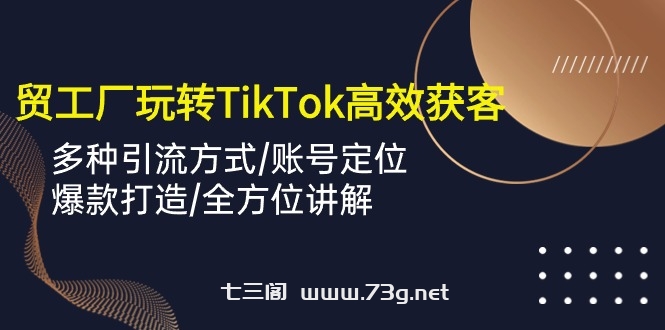 外贸工厂玩转TikTok高效获客，多种引流方式/账号定位/爆款打造/全方位讲解-七三阁