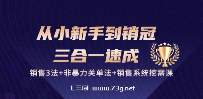 从小新手到销冠 三合一速成：销售3法+非暴力关单法+销售系统挖需课 (27节)-七三阁