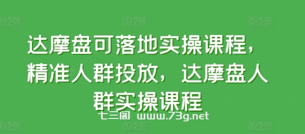 达摩盘可落地实操课程，精准人群投放，达摩盘人群实操课程-七三阁