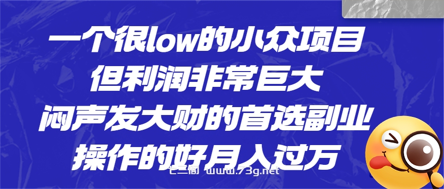 一个很low的小众项目，但利润非常巨大，闷声发大财的首选副业，月入过万-七三阁