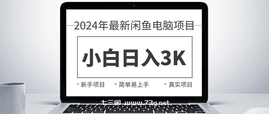 （10845期）2024最新闲鱼卖电脑项目，新手小白日入3K+，最真实的项目教学-七三阁