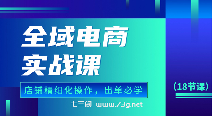 全域电商实战课，个人店铺精细化操作流程，出单必学内容（18节课）-七三阁