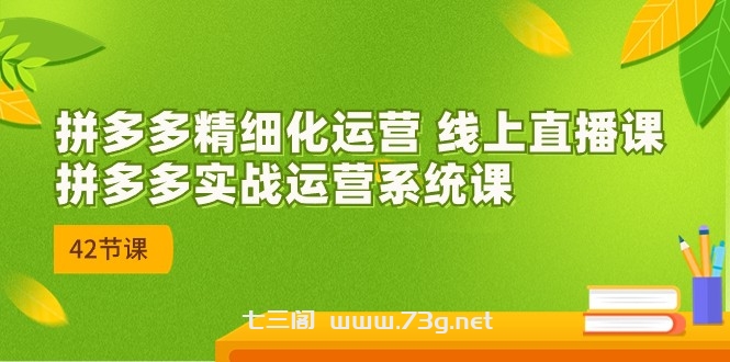 拼多多精细化运营 线上直播课：拼多多实战运营系统课（更新47节）-七三阁